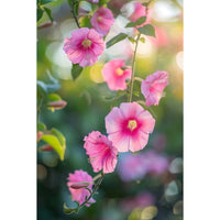 Thumbnail for Pink Flowers on Painting