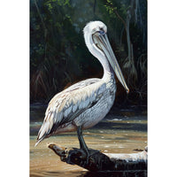 Thumbnail for Pelican Canvas