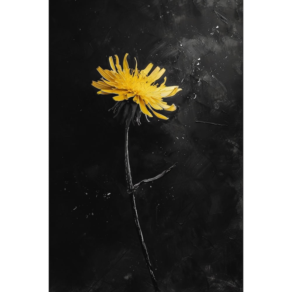 Dandelion Canvas Black And White