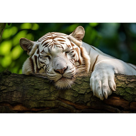 White Tiger Painting