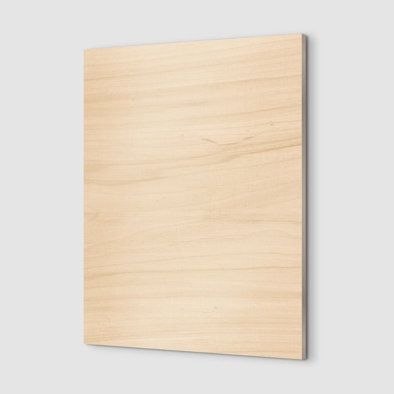 Canvas of Mountains Painting