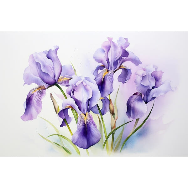 Watercolor canvas Iris Flower