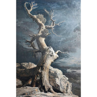 Thumbnail for Old Dead Tree Canvas