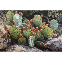 Thumbnail for Oil canvas of Cactus