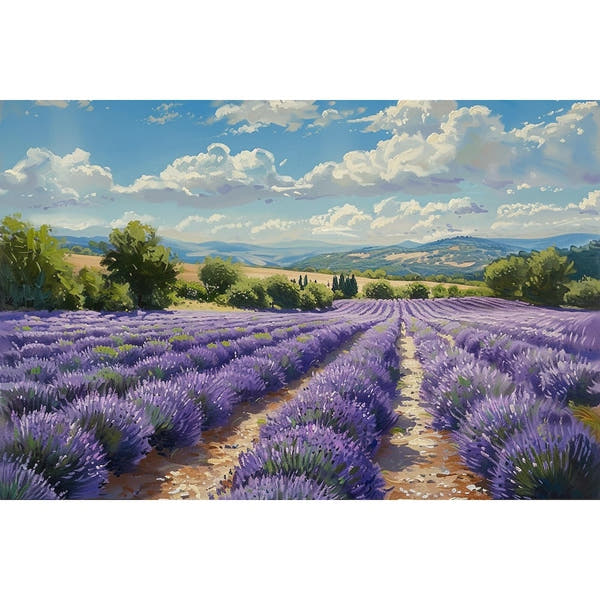 Lavender Field canvas