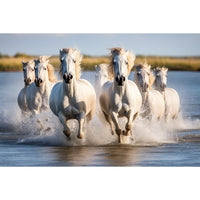 Thumbnail for Wild Horses Painting Print