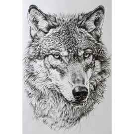 Wolf Drawing Canvas