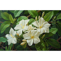 Thumbnail for Jasmine Flower Canvas