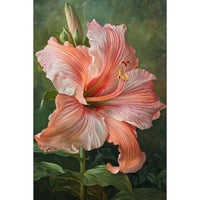 Thumbnail for Canvas of Hibiscus Flower