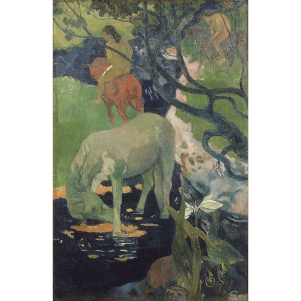 Famous White Horse Canvas