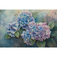 Thumbnail for Hydrangea Canvas