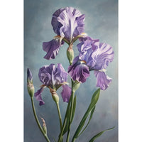 Thumbnail for The Iris canvas