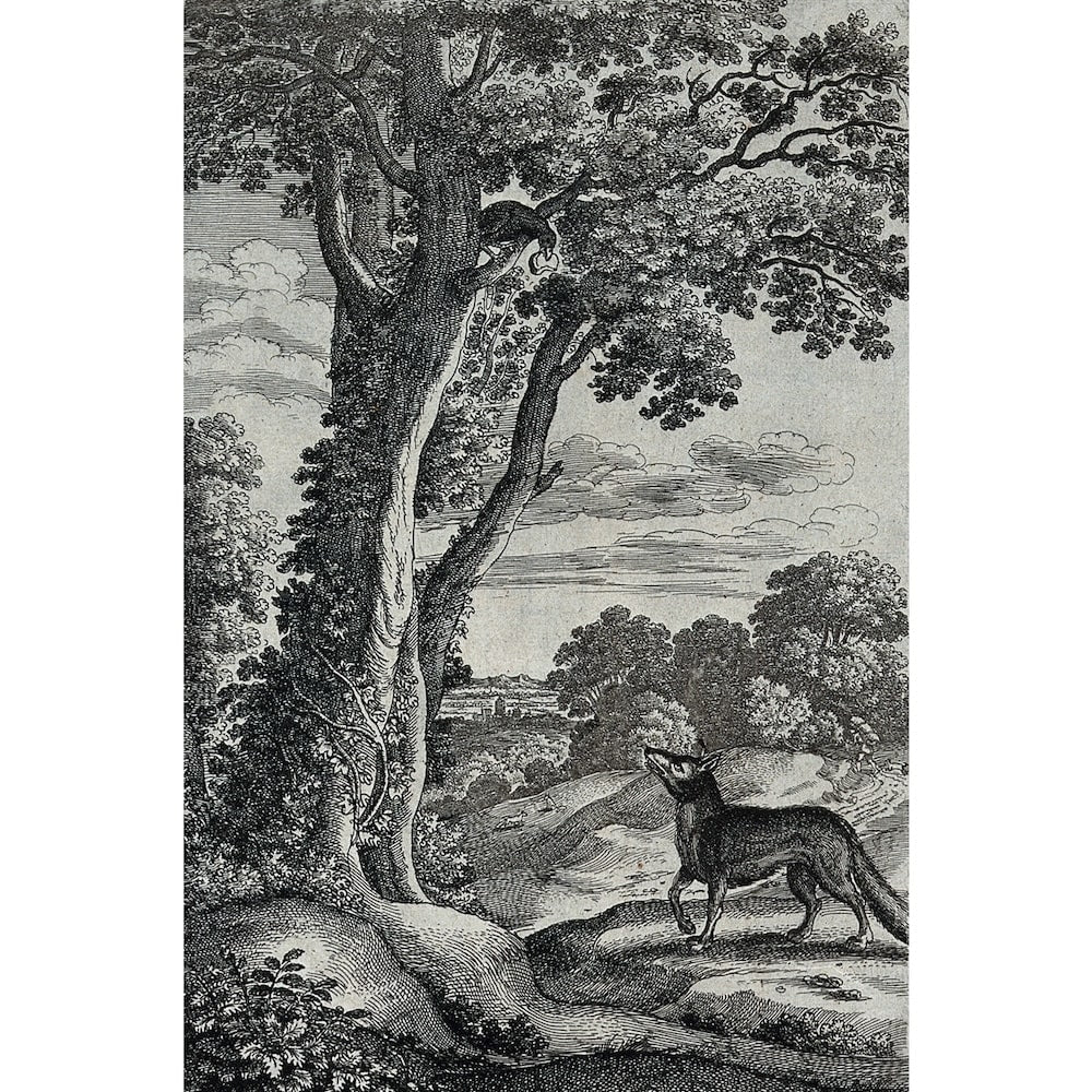 Famous Fox Canvas