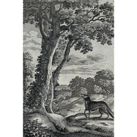 Thumbnail for Famous Fox Canvas