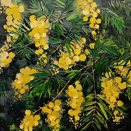 Mimosa Canvas