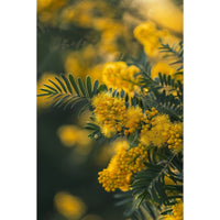 Thumbnail for Yellow Flowers Painting Print