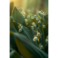Thumbnail for Flower Print Canvas