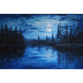 Nocturnal Landscape Canvas