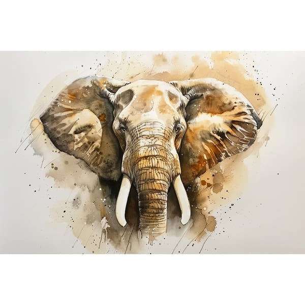Elephant Watercolour Canvas