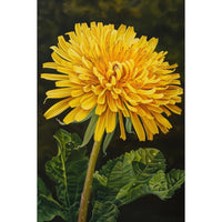 Thumbnail for Dandelion Canvas
