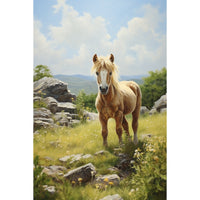 Thumbnail for Pony Canvas
