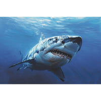 Thumbnail for Canvas of a Shark