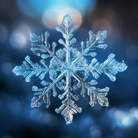 Thumbnail for Winter Snowflake Canvas