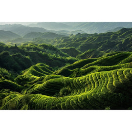Landscape Canvas of China