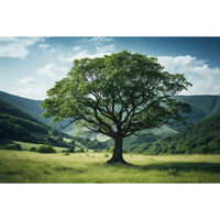 Thumbnail for Tree Painting