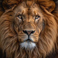 Thumbnail for Lion Head Painting