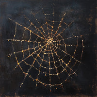 Thumbnail for Spider Web Canvas